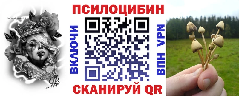 Галлюциногенные грибы Cubensis  Козельск 